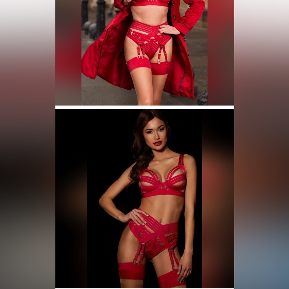 Linda C full set in raspberry sized to fit 34C bra & SMALL garter belt/ bottom